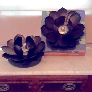 2-Metal torch lily pads